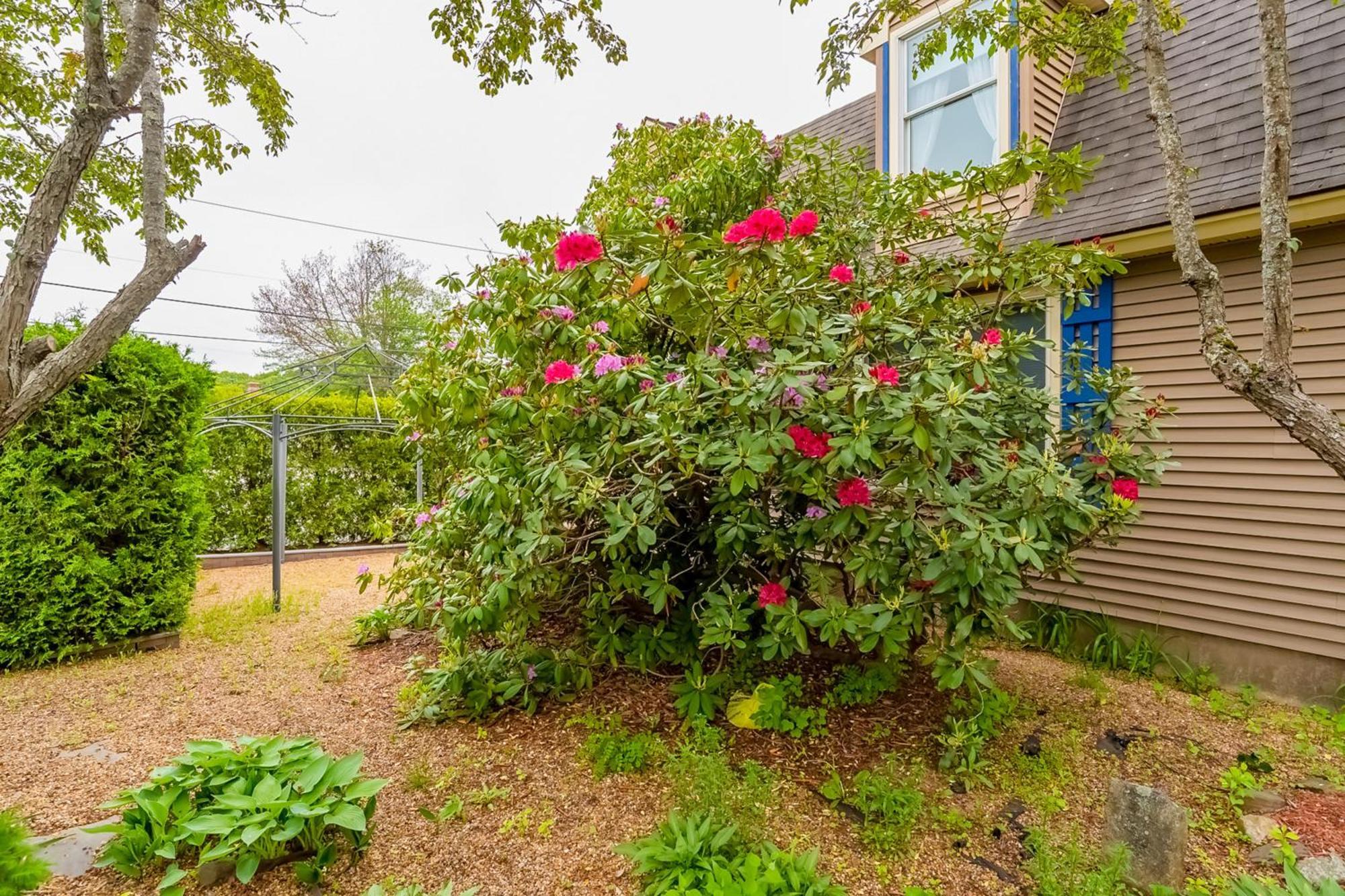 Beach Plum Townhouse Daire Ogunquit Dış mekan fotoğraf